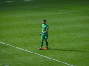 开云下载-英格兰碾压日本，孔蒂惊艳世界：从球场到商业的战术启示