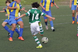 开云下载-TeamWE逆转SHR，SwordArt送出助攻！