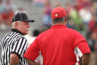 开云下载-德国男篮鏖战奇才，巴恩斯助攻彰显团队力量的魅力