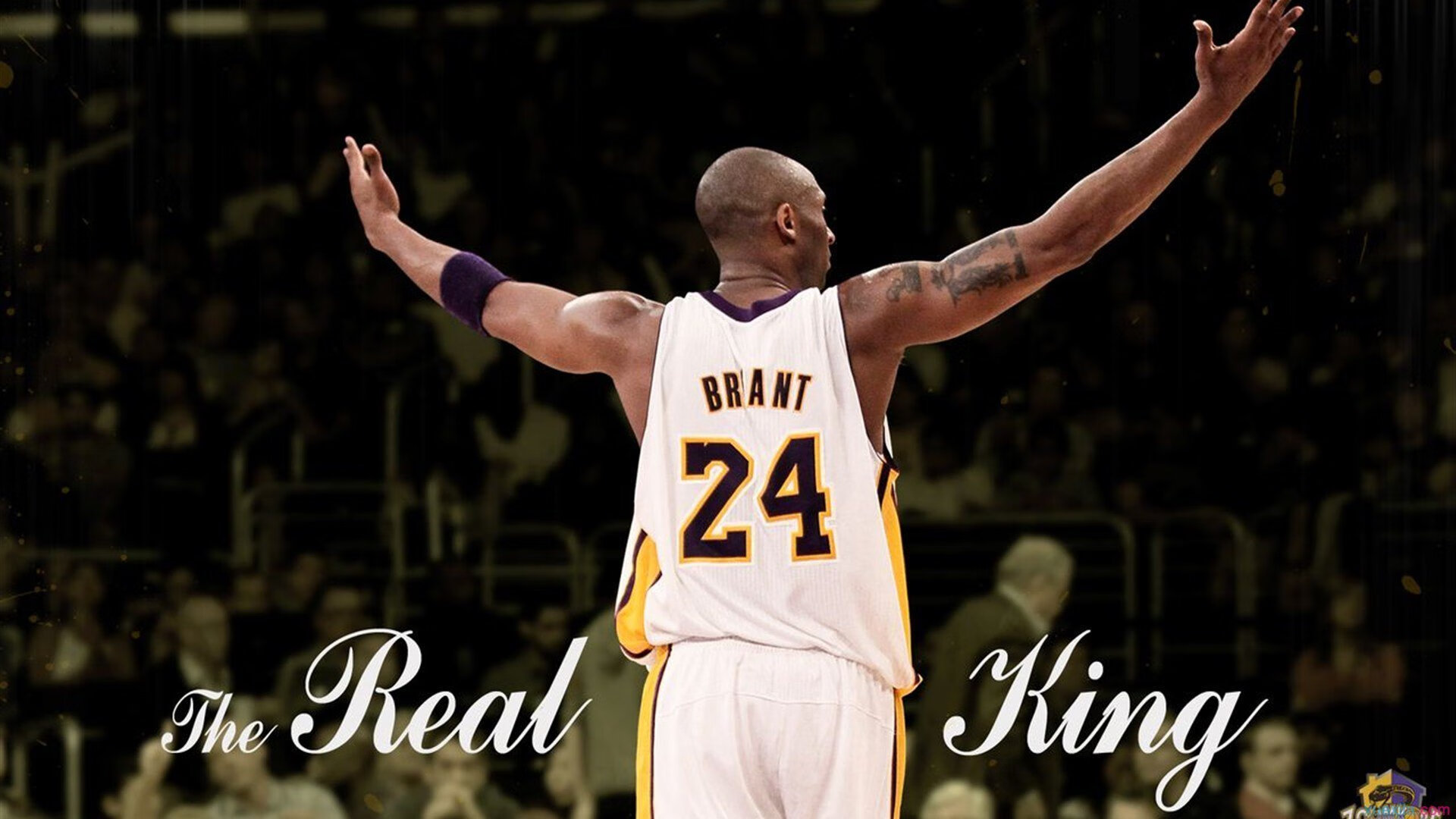 年度焦点之战夜,阿克教科书级表现震撼全场